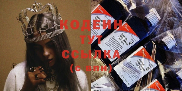 прущие грибы Кинешма
