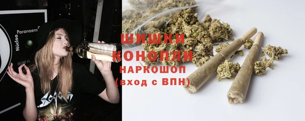 прущие грибы Кинешма