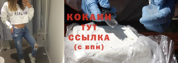 прущие грибы Кинешма