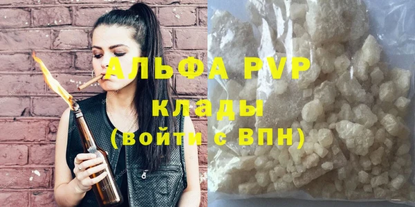 прущие грибы Кинешма