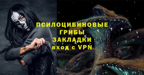 хмурый Белокуриха