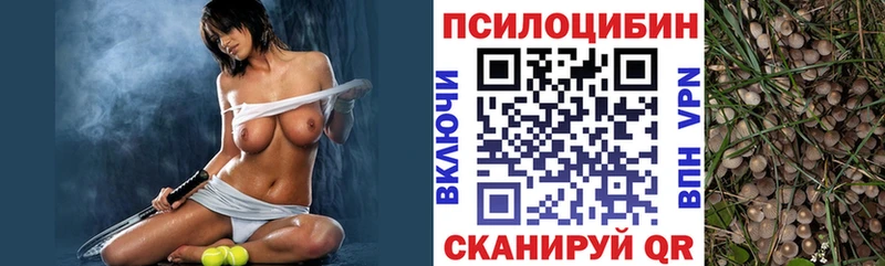 Галлюциногенные грибы мицелий  Ессентукская 